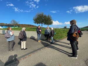 Bild 1_go57m5vp2vj1.jpg